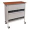 Omnimed Chart Racks Lockable Privacy Style Holds 20 Binders up to 2.75"W (42"H 265620 - alternate 1